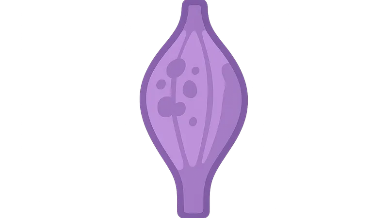 Muscular dystrophies