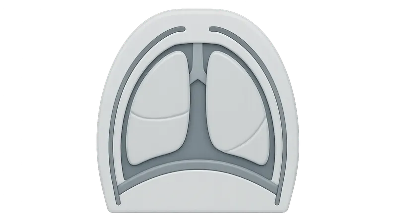 Thoracic fascial planes