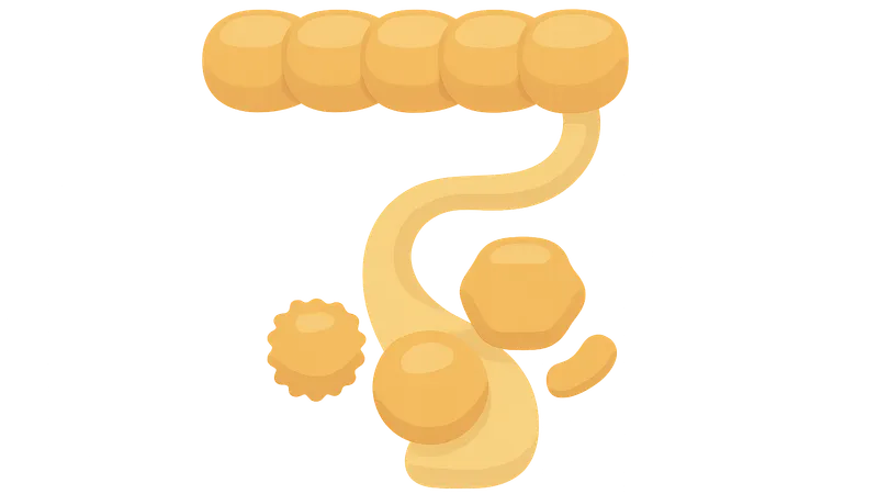 Post-translational modifications