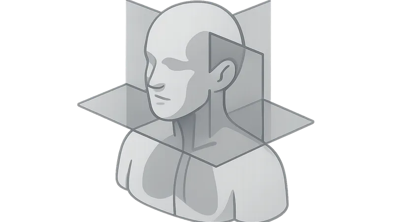 Anatomical planes and reference lines