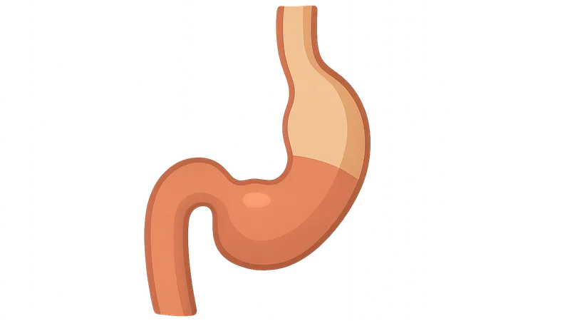 Esophageal Disorders
