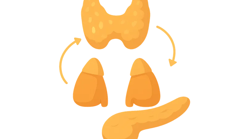 Integration of metabolic regulation