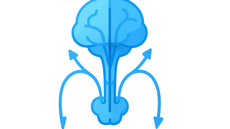 Alternative motor pathways