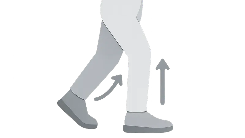 Gait Analysis and Biomechanics
