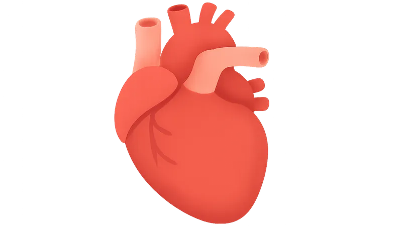 Hypertensive heart disease