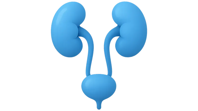 Renal and Urinary Tract Imaging