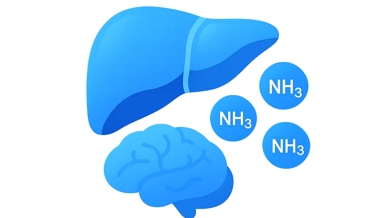 Hyperammonemia causes and effects