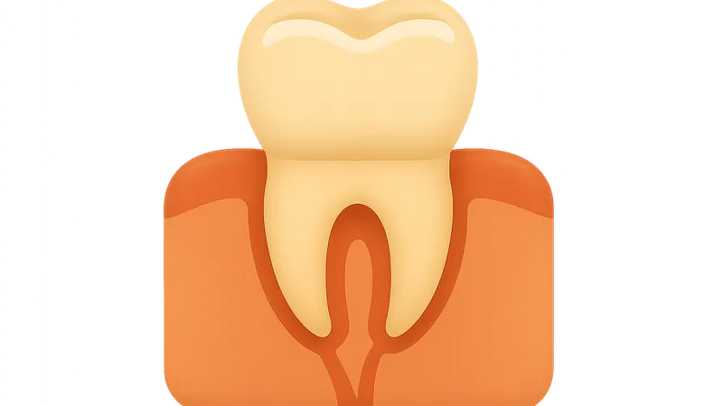 Dental Anatomy and Development