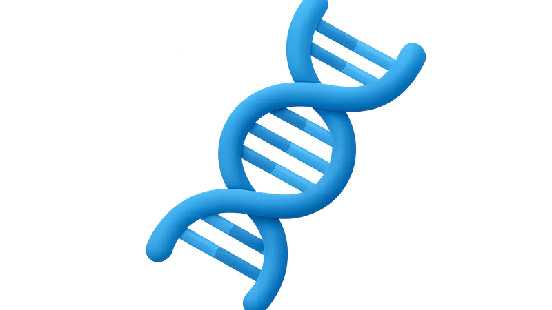 DNA Structure and Replication