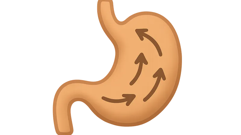 GI motility patterns and regulation