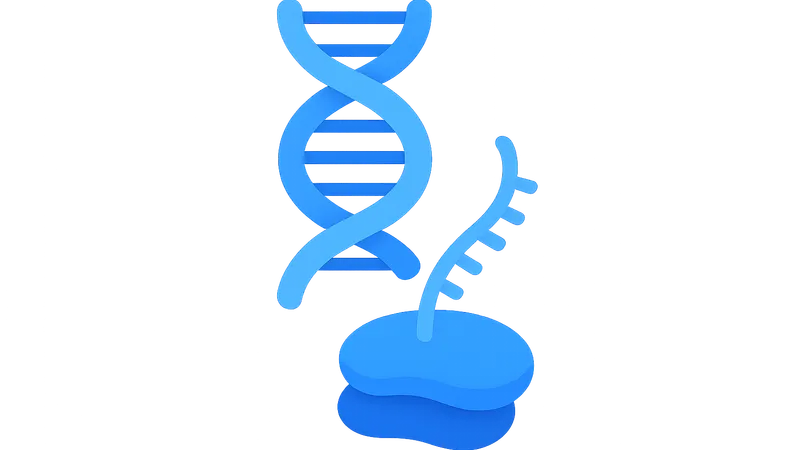 Transcription/translation