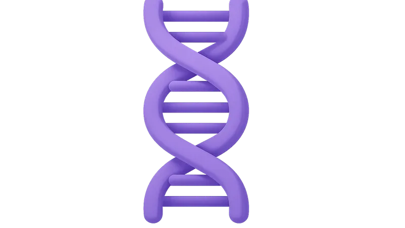 DNA Structure and Function