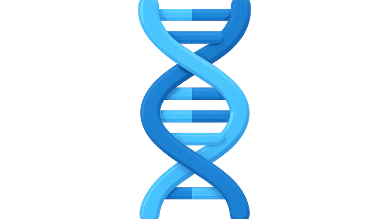 DNA structure and organization