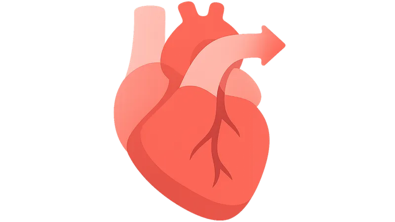 Ventricular ejection physiology