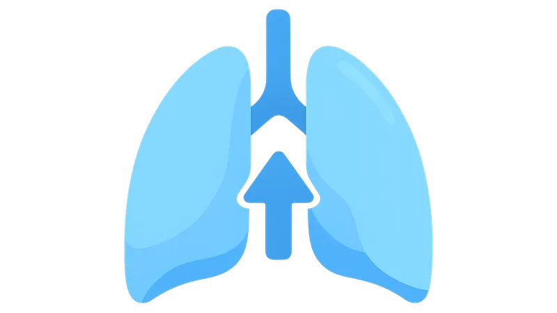 Respiratory adaptations during exercise