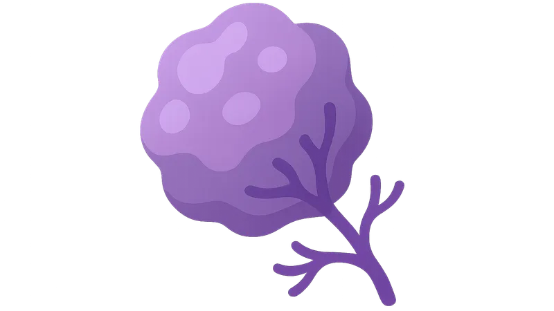 Cancer Biology Basics