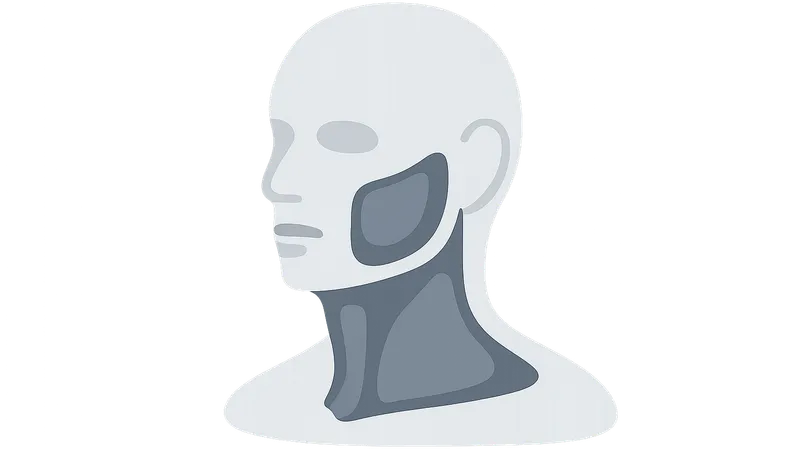 Head and neck fascial spaces