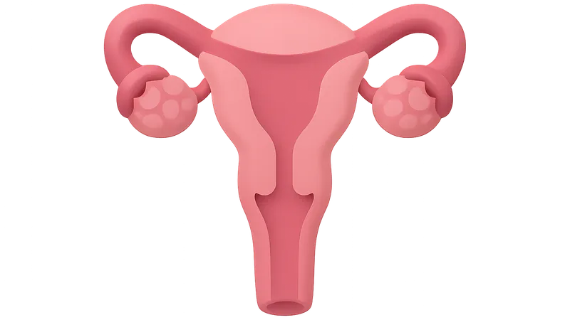 Female reproductive organs — MCQs