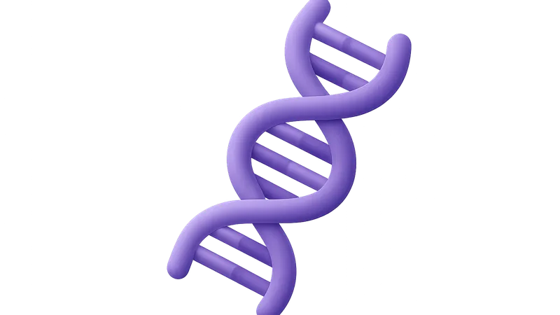 Nucleic Acid Structure and Function