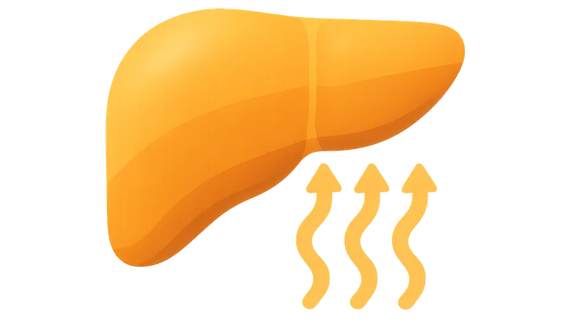 Detoxification Pathways