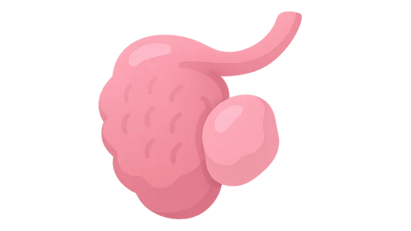 Salivary Gland Diseases