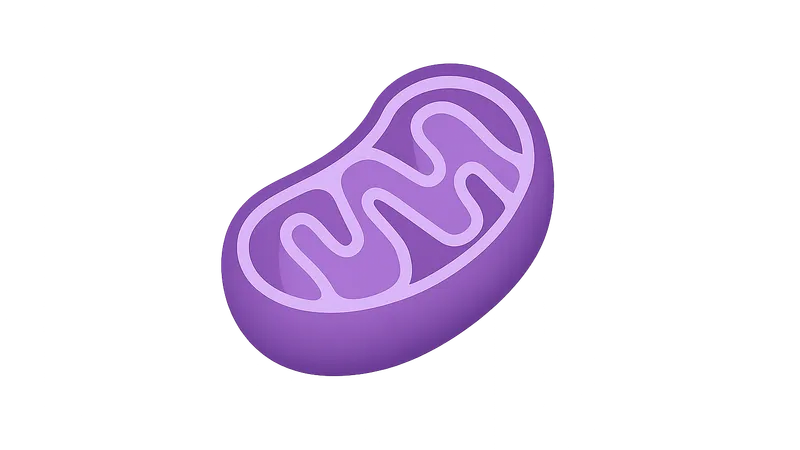 Inborn Errors of Metabolism
