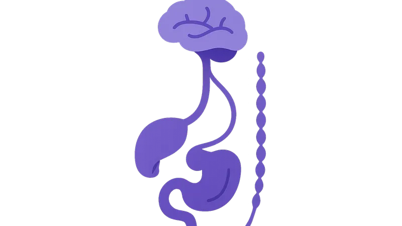Visceral afferent pathways