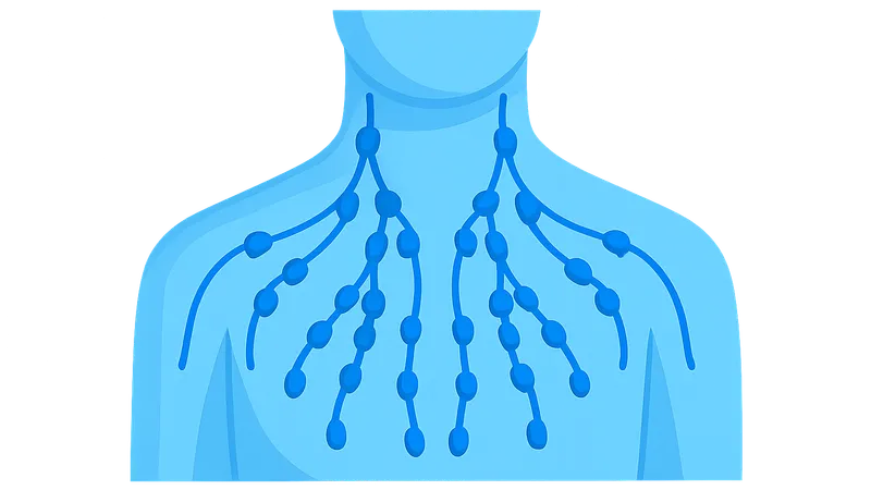 Lymph node groups and clinical significance