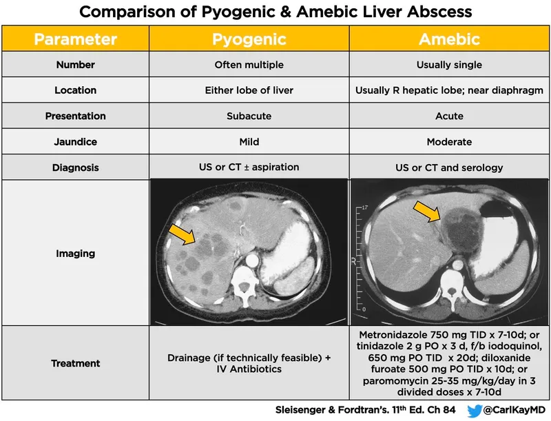 Ultrasound and CT of amoebic liver abscess