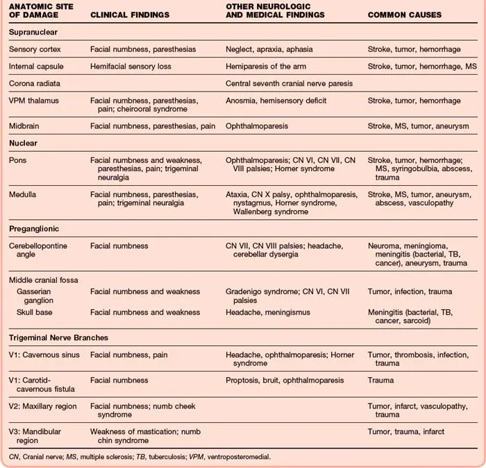 Cranial Nerve Lesions: Anatomic Site, Findings, Causes
