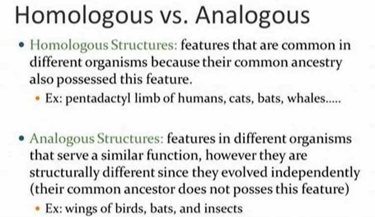 Homologous vs Analogous Structures
