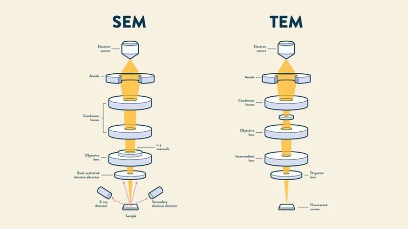 SEM vs TEM: Electron Beam Paths and Components