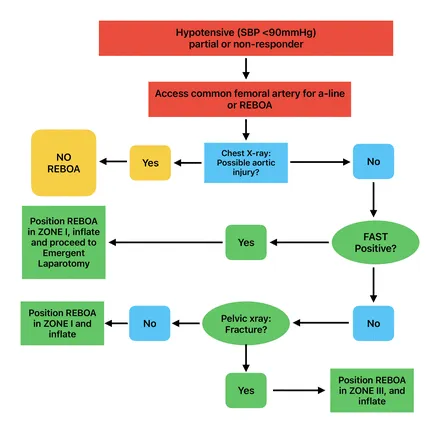Lower limb arterial supply diagram