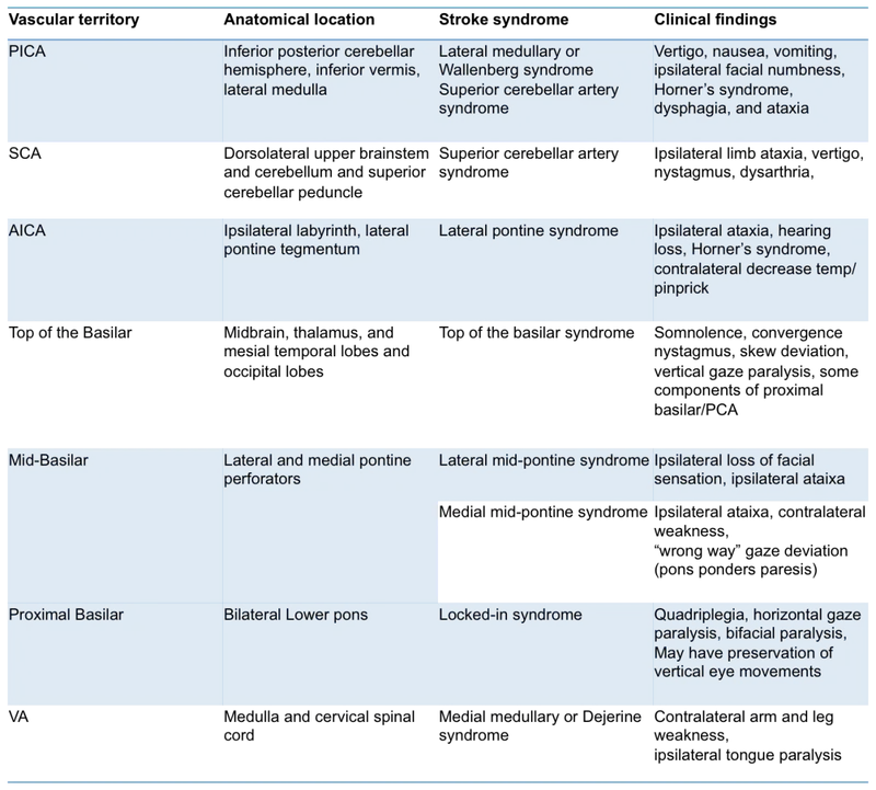 Brainstem Stroke Syndromes by Vascular Territory
