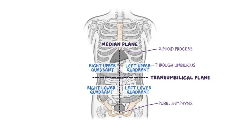 Abdominal Quadrants and Planes with Anatomical Landmarks