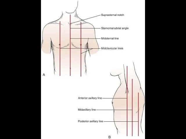 Thoracic Surface Landmarks: Anterior, Posterior, Midlines