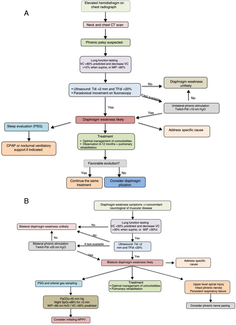 Diaphragm weakness evaluation and management