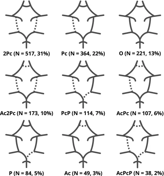 Circle of Willis Variations with Frequencies