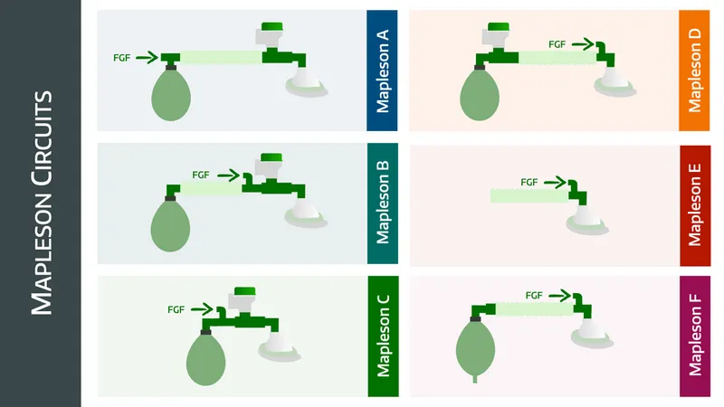 Mapleson A-F Breathing Circuits Diagram