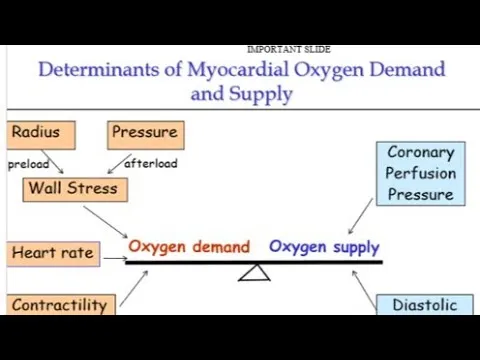 Myocardial Oxygen Demand and Supply Determinants