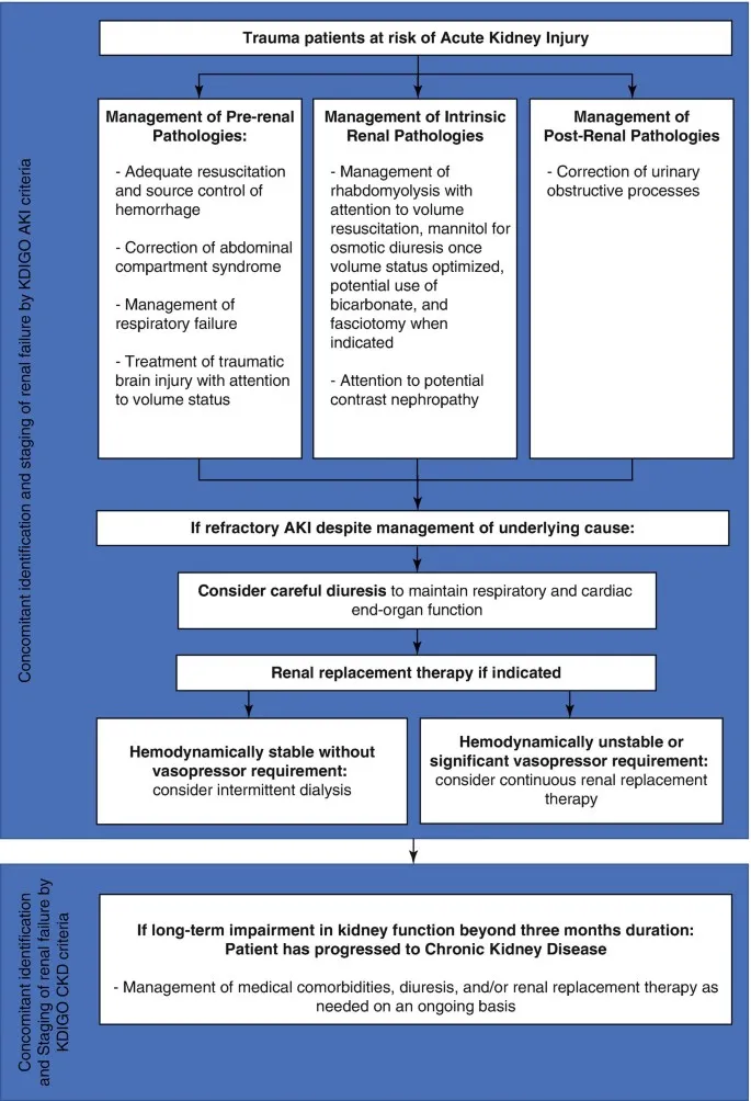 AKI Management Pathway