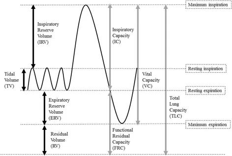 Spirometry Tracing: Lung Volumes and Capacities