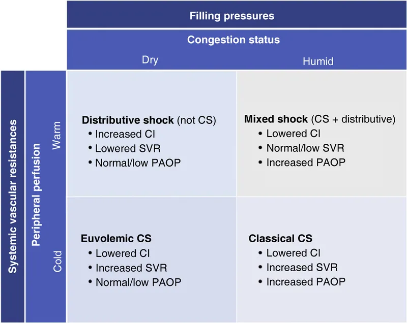 Hemodynamic profiles of shock types