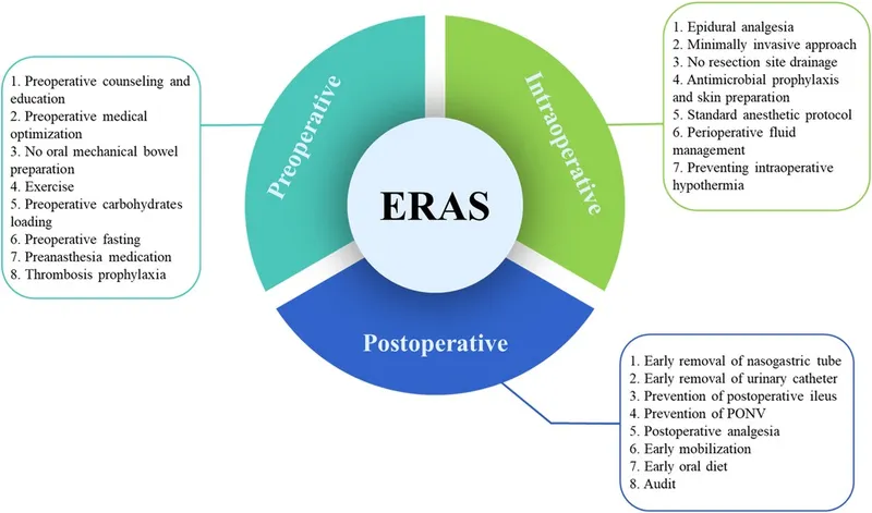 ERAS Protocol: Preoperative, Intraoperative, Postoperative