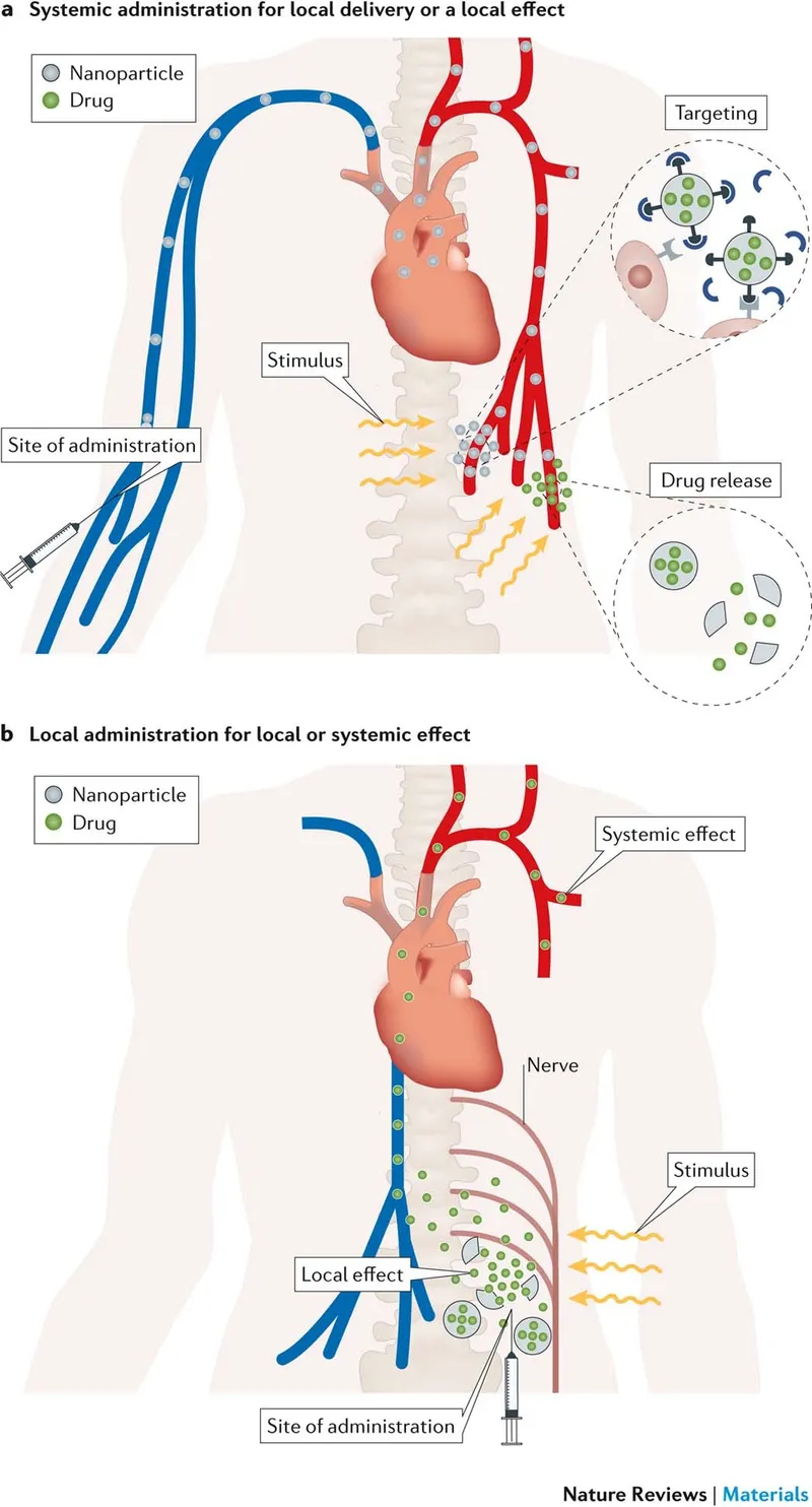 Nanoparticle delivery of local anesthetics