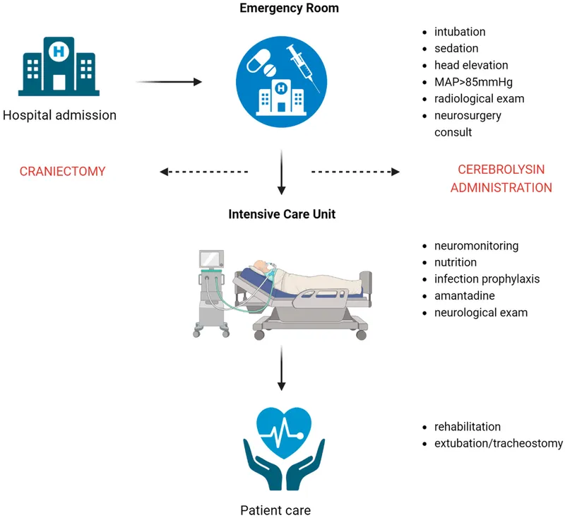 Craniotomy patient care pathway overview