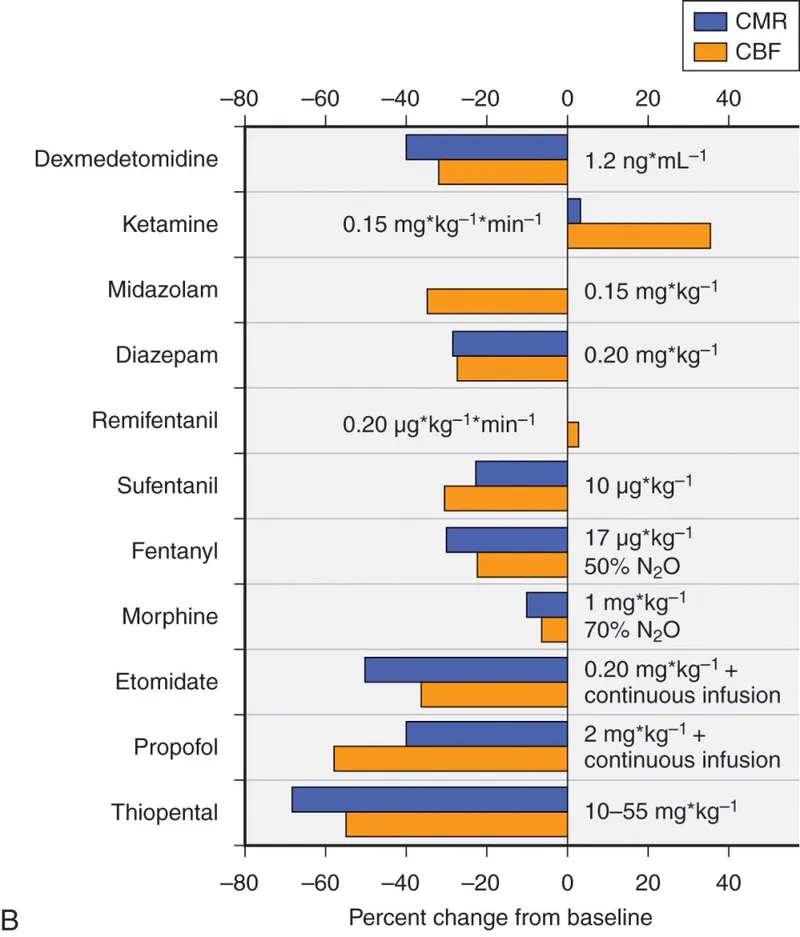 Anesthetic effects on CMR and CBF