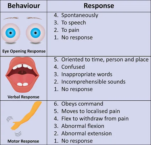 Glasgow Coma Scale Scoring