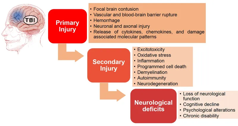 TBI Primary and Secondary Injury Mechanisms