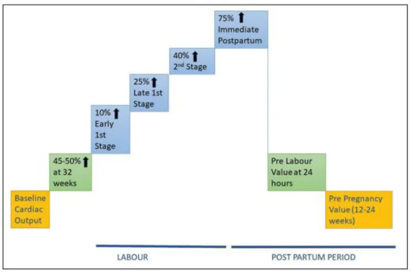 Cardiac Output Changes During Labour and Postpartum